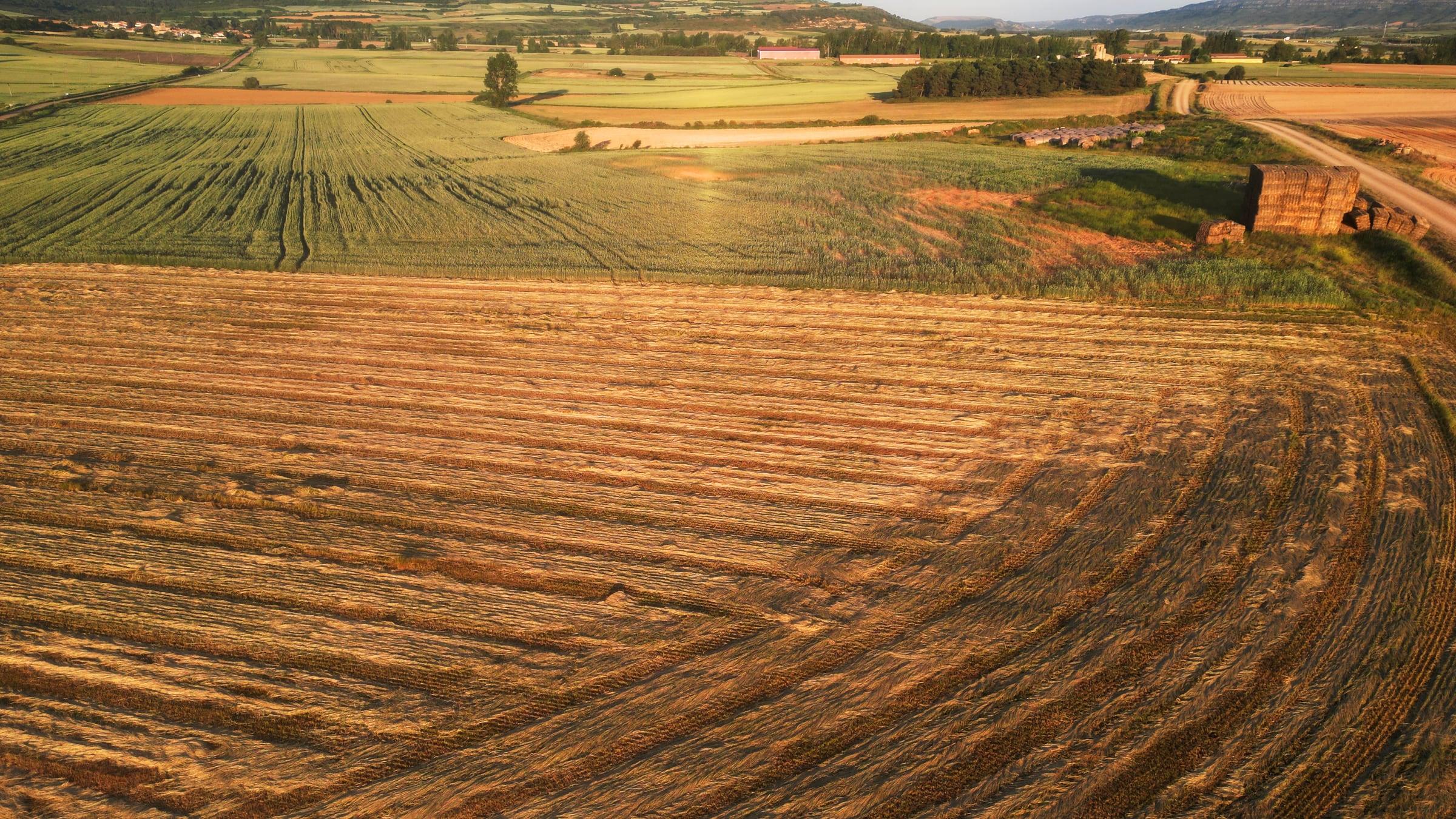 Golden-hour agricultural fields with harvested rows and distant hills in Pomar de Valdivia, Spain