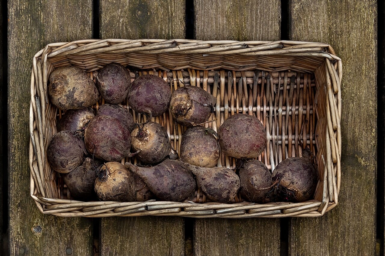 Beetroot