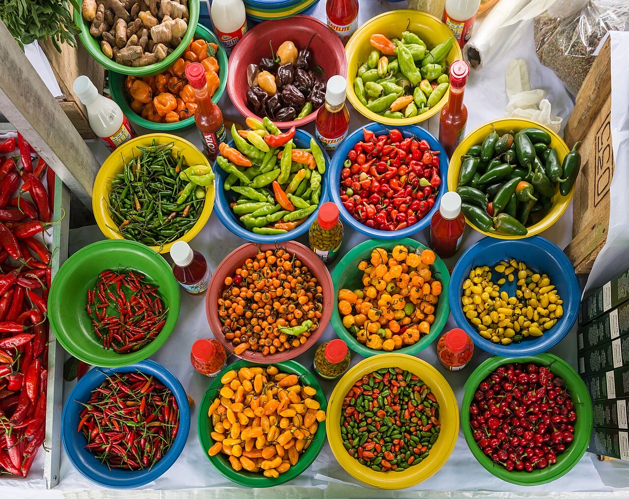 Chili peppers on the plant