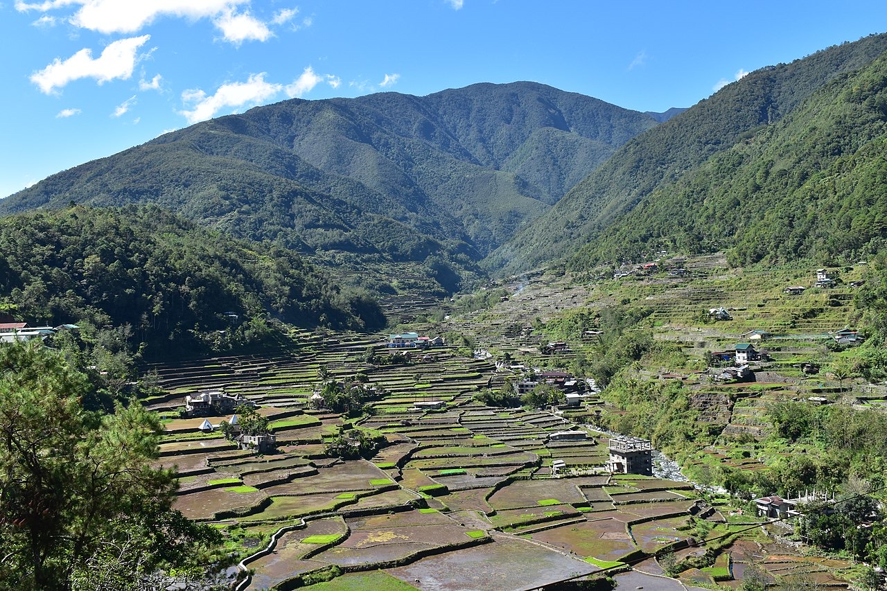 Contour farming on a slope