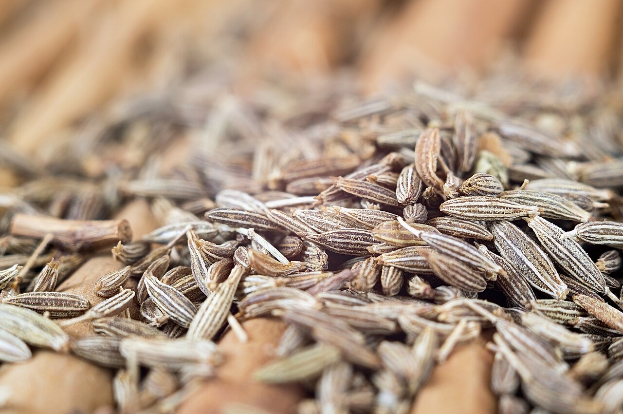 A cumin crop