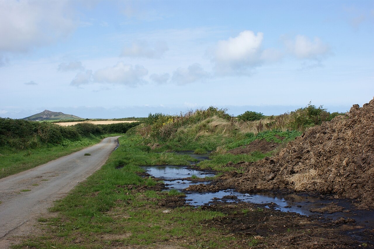 A heap of farmyard manure