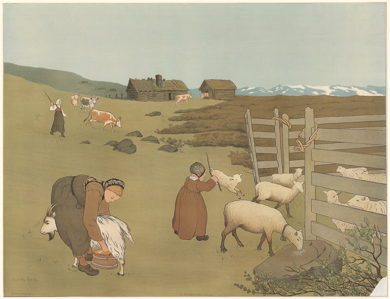 Goats on a farm