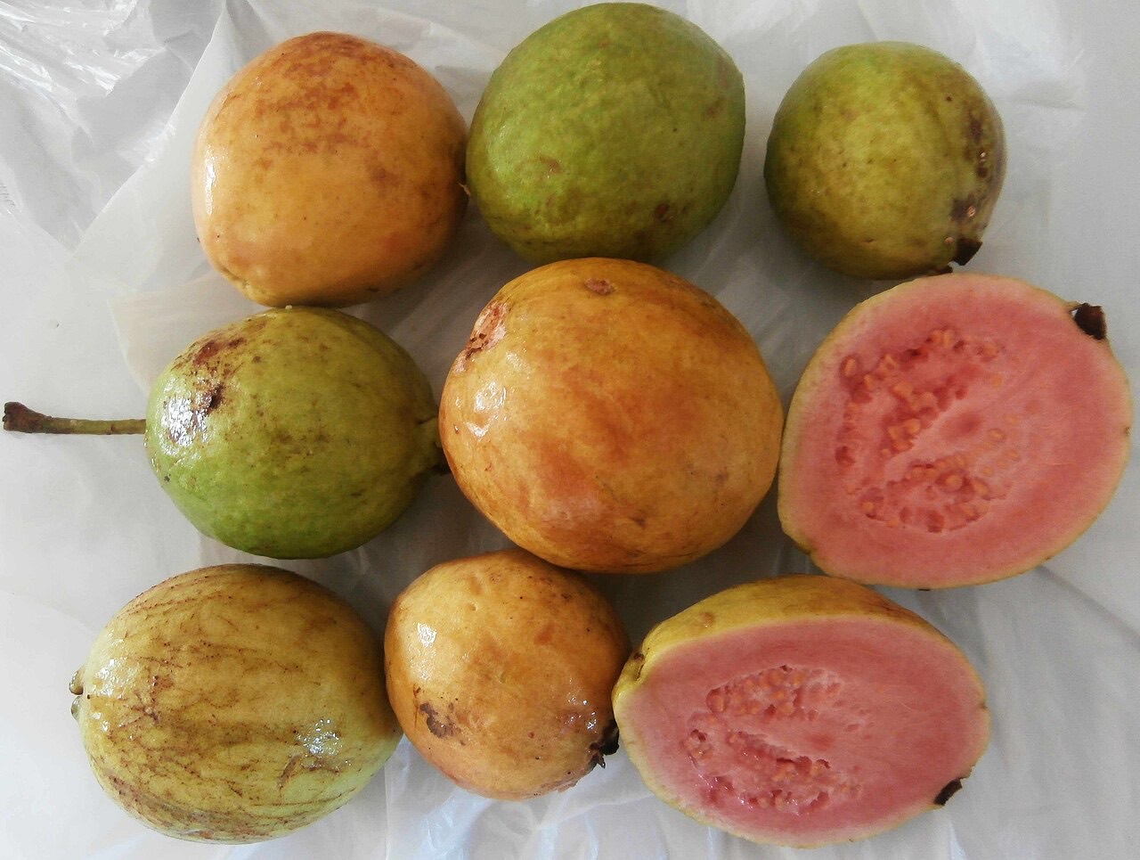 Guavas on a tree