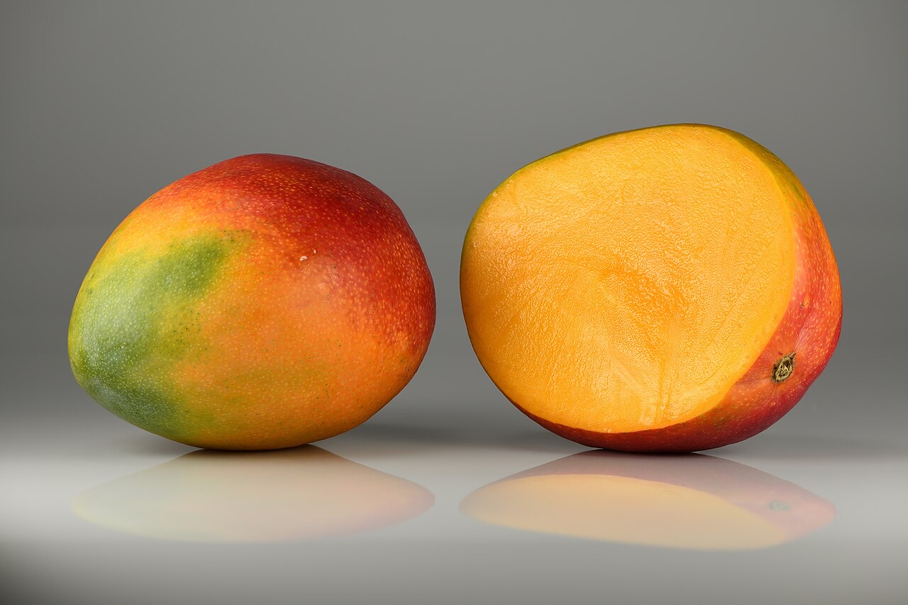 Mangoes on a tree