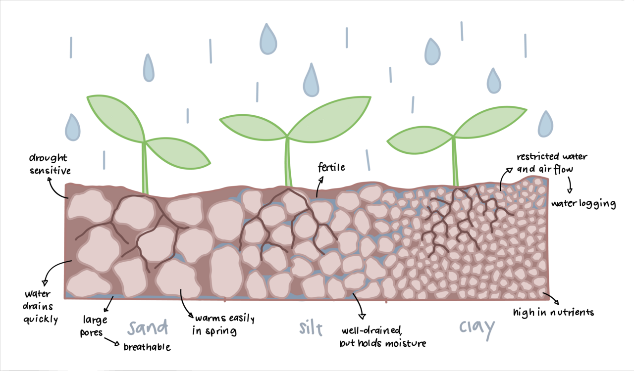 Silt soil