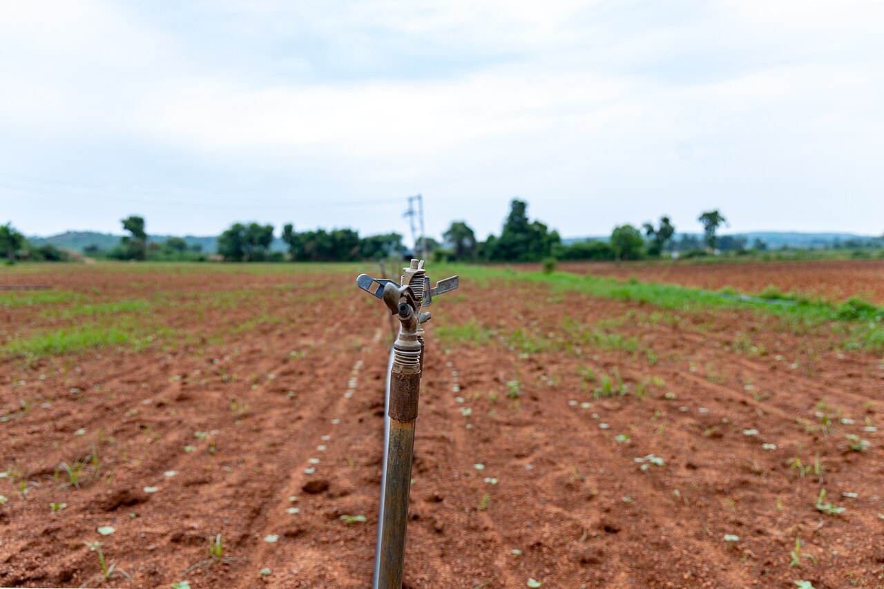 Sprinkler irrigation in a field