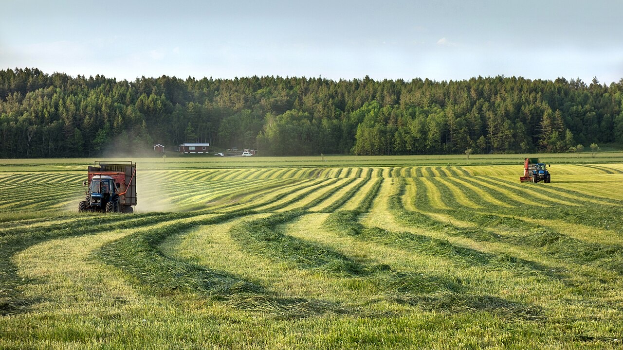 A tractor working in a field