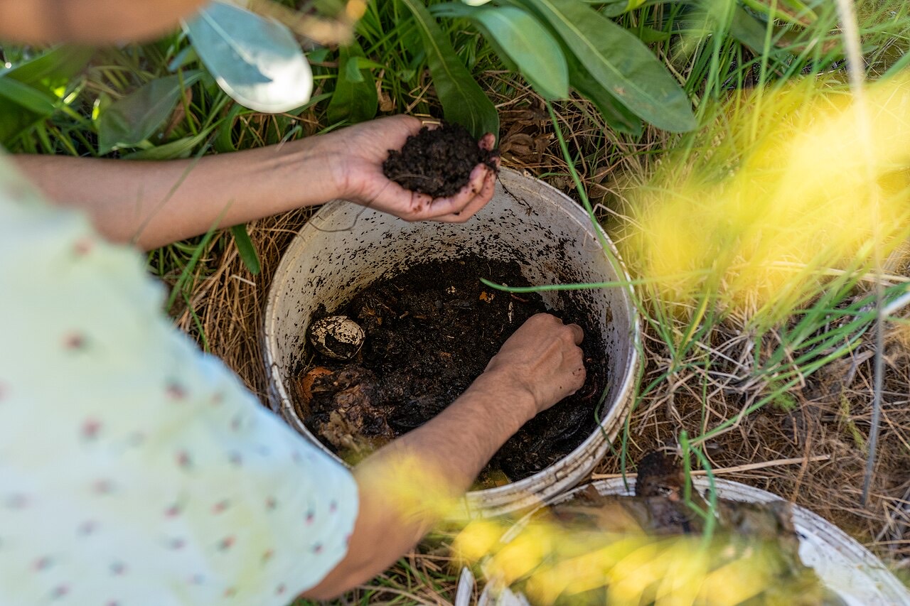 Vermicompost